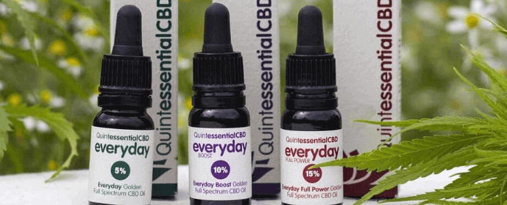 Quintessential Everyday Golden Full Spectrum CBD Oil