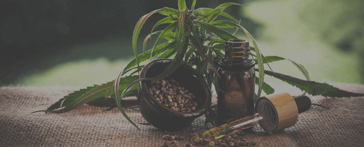 CBD Oil Solutions Review