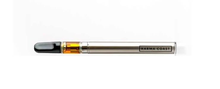 Karma Pen Original Review