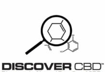 Discover CBD Review Discover CBD